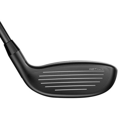 COBRA - Hybride GAUCHER Aerojet