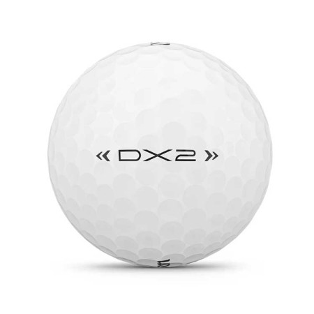 WILSON - 24 Balles de Golf DX2 Blanche